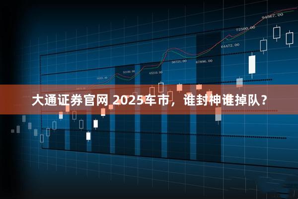 大通证券官网 2025车市，谁封神谁掉队？